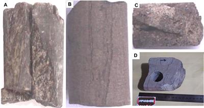 Natural Fractures in Low-Permeability Sandstone Reservoirs in the LD-A HPHT Gas Field, Yinggehai Basin: Implications for Hydrocarbon Exploration and Development